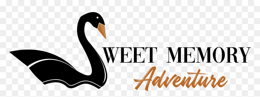 Sweet Memory Adventures - Black Swan, HD Png Download - sweet memories png