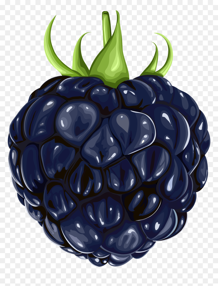 Blackberry Fruit Png Clipart - Fruit Clipart Blackberry, Transparent Png - fruits clipart png