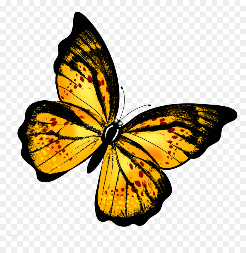 Monarch Butterfly Clipart Hindu God - Transparent Background Butterfly Png, Png Download - hindu god png
