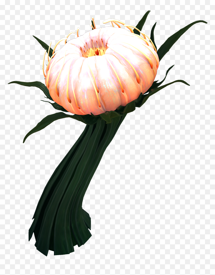 Subnautica Below Zero - Deep Lilypads Subnautica Below Zero, HD Png Download - flower plant top view png