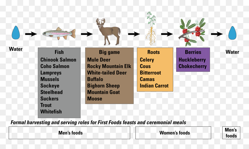 An Example Of The Serving Order Of The Confederated - Example Of Order In Science, HD Png Download - indian goat png