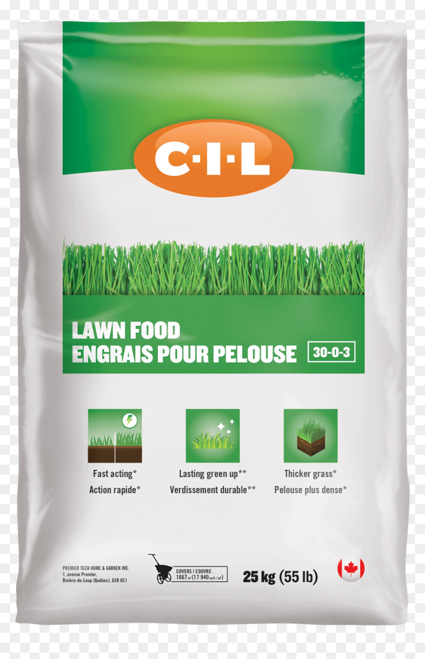 Cil Gluten De Mais, HD Png Download - garden grass png