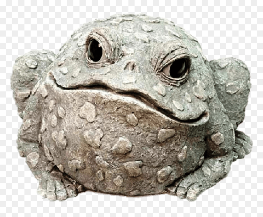 Decorative Garden Toad Clip Arts - Oak Toad, HD Png Download - toad png