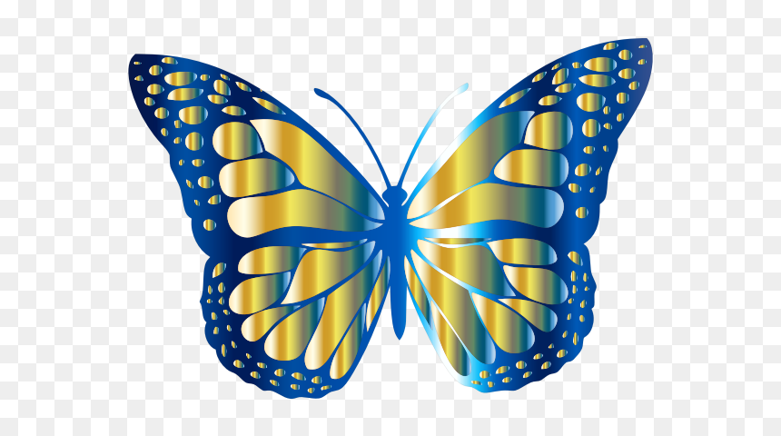 Monarch Butterfly 2 Variation - Butterfly Picture For Kids, HD Png Download - monarch butterfly png