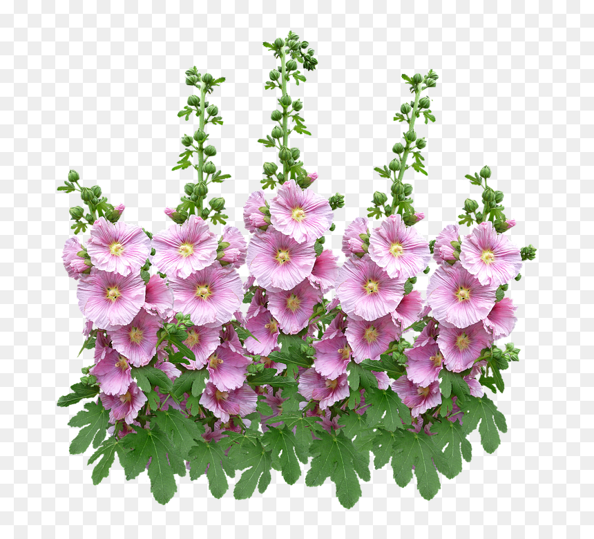 Artificial Flower, HD Png Download - flower plant top view png