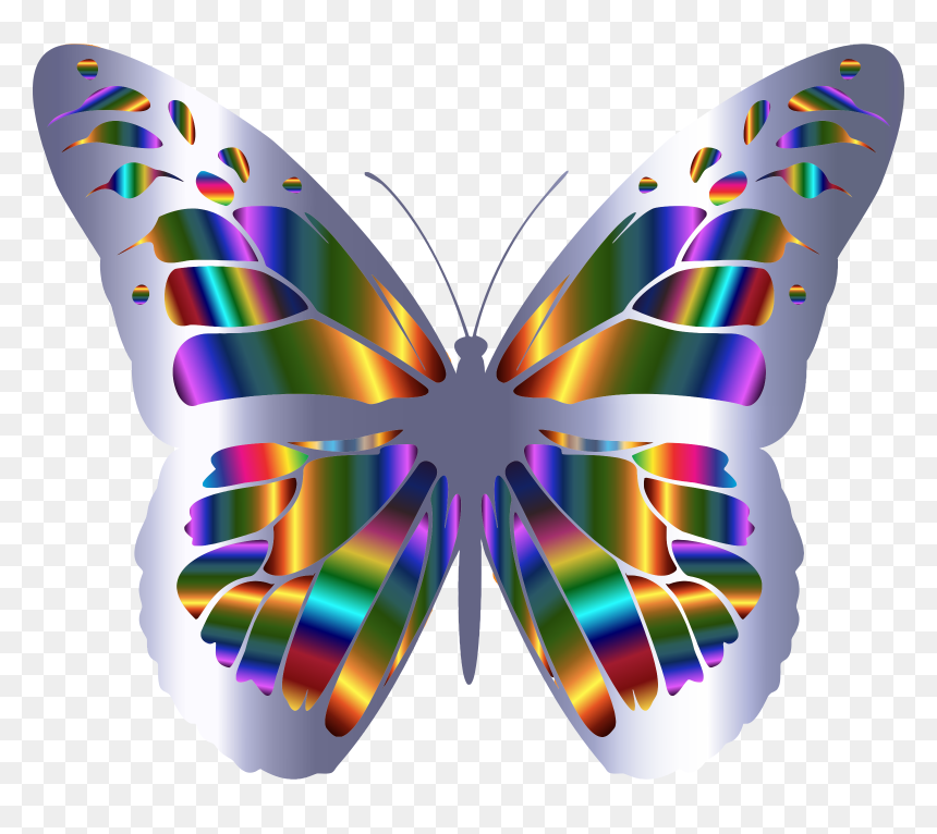Transparent Butterflies Clipart Border - Monarch Butterfly, HD Png Download - monarch butterfly png