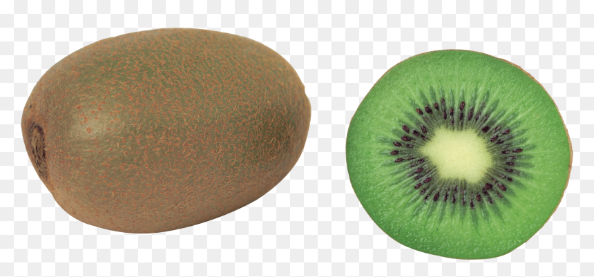 Kiwi Png Image, Free Fruit Kiwi Png Pictures Download - Kiwi Fruit Clipart Png, Transparent Png - fruits clipart png