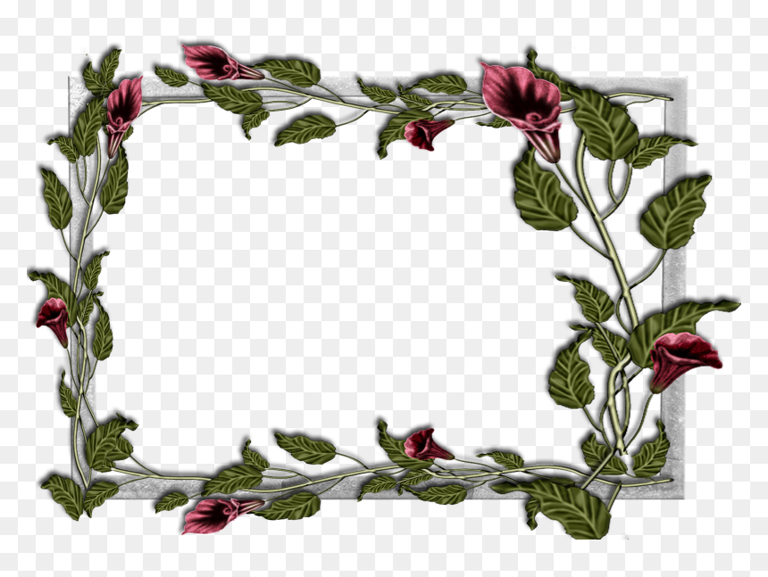 Frost Border Png Download , Png Download - Flower Frames, Transparent Png - frost border png