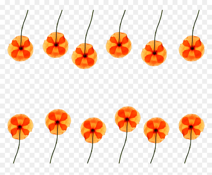 Watercolor Flower Pattern Png For Free - Poppy, Transparent Png - poppy png
