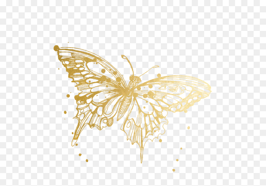Butterfly Tattoos Temporary Accept Watercolor Tattly - Butterfly Drawing Png Transparent, Png Download - monarch butterfly png