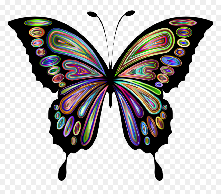 See The Butterfly Monarch Butterfly Download Animal - Clip Art Butterfly, HD Png Download - monarch butterfly png