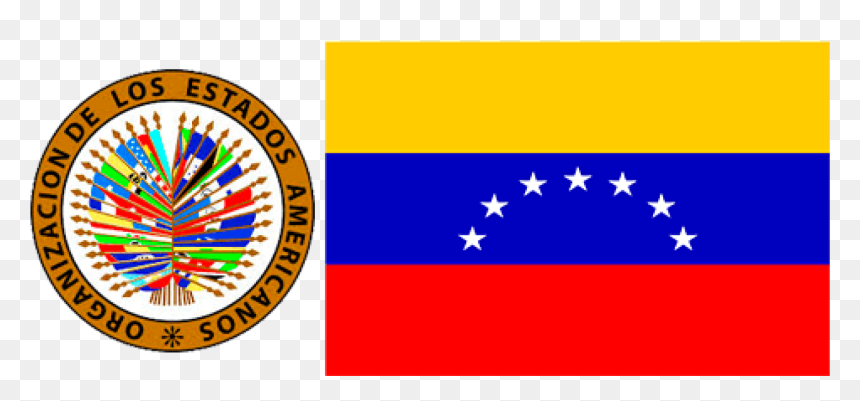 The Democratic Charter, The Oas And Venezuela - Flag, HD Png Download - venezuela flag png