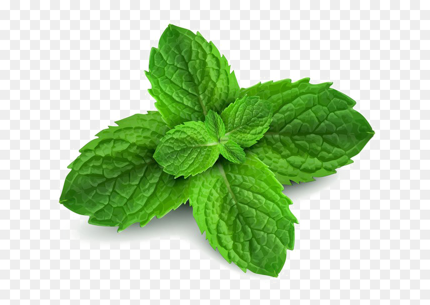 Thumb Image - Green Background With Mint Leaves, HD Png Download - peppermint png