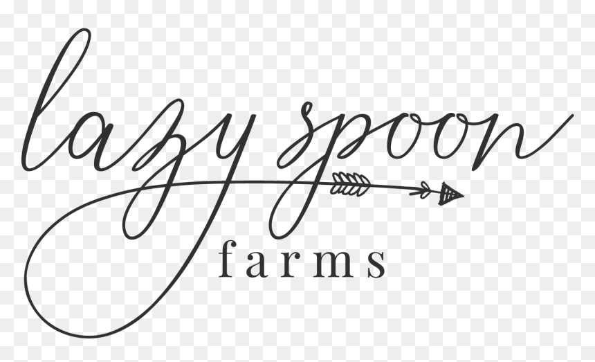 Transparent Universal Studios Hollywood Png - Calligraphy, Png Download - hollywood png