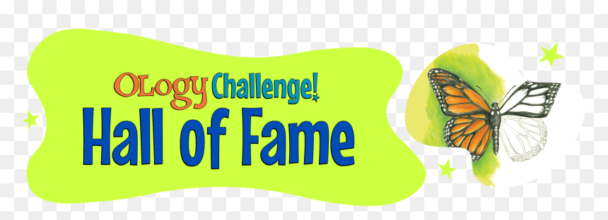 Butterfly Hall Of Fame - Graphic Design, HD Png Download - monarch butterfly png