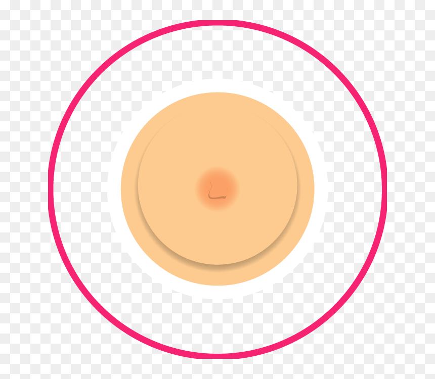 Nipple Shape/size Changes Clipart , Png Download - Circle, Transparent Png - nipple png