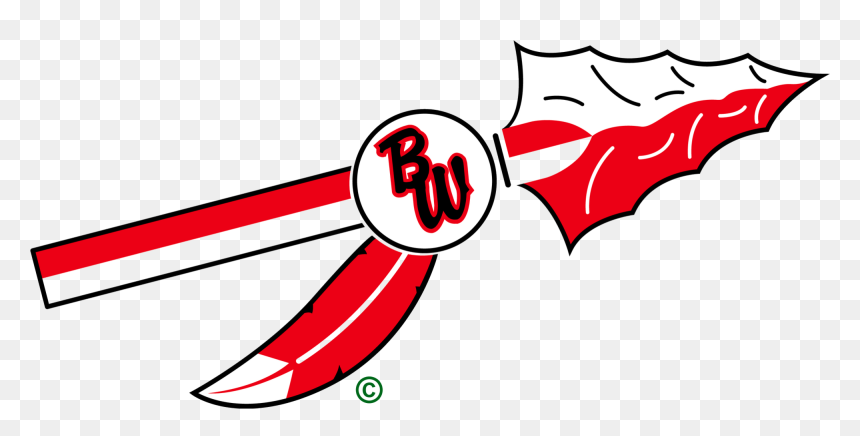 Baldwin Woodville Blackhawks , Png Download - Baldwin Woodville High School, Transparent Png - blackhawks logo png