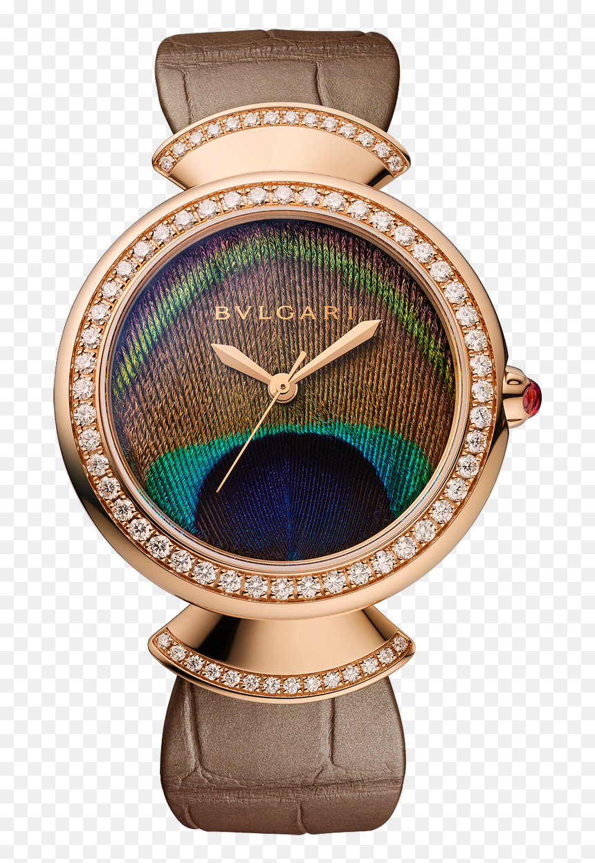 Watch, HD Png Download - peacock feather png