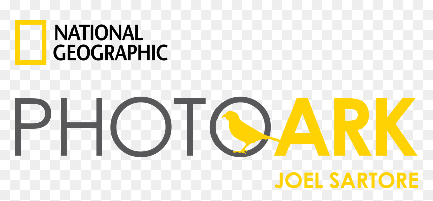 About This Exhibition - Joel Sartore Photo Ark Logo, HD Png Download - ark logo png