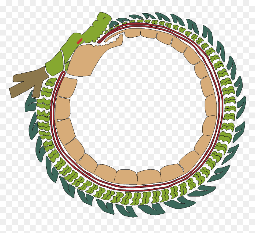 Shenron In A Circle , Png Download - Shenron Circle, Transparent Png - shenron png