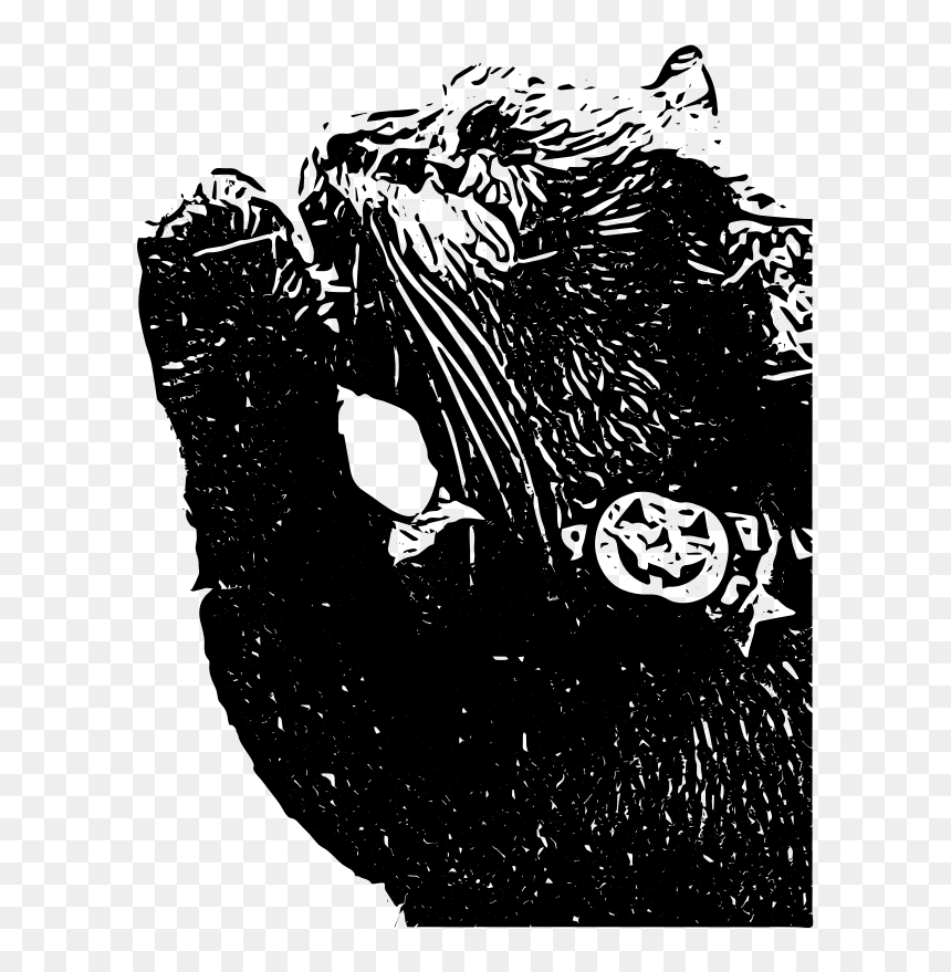 Transparent Cute Black Cat Png - Illustration, Png Download - cute pumpkin png