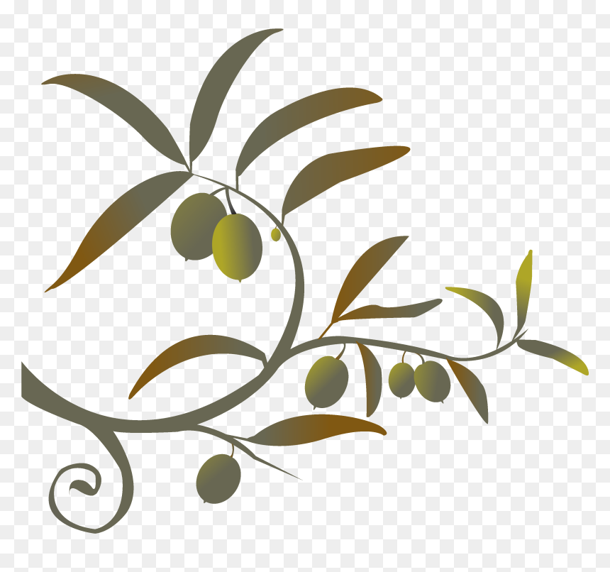 Branch Png Siren Song Of The Counter - Olive Branch Images Clip Art, Transparent Png - olive branch png