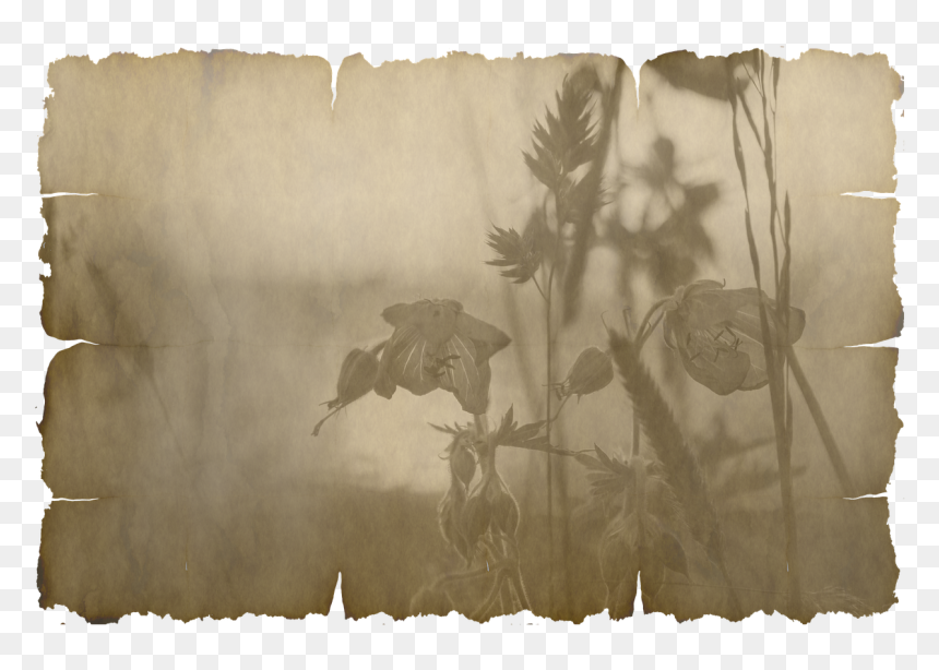 Tuesday Good Morning Images Hd, HD Png Download - piece of paper png
