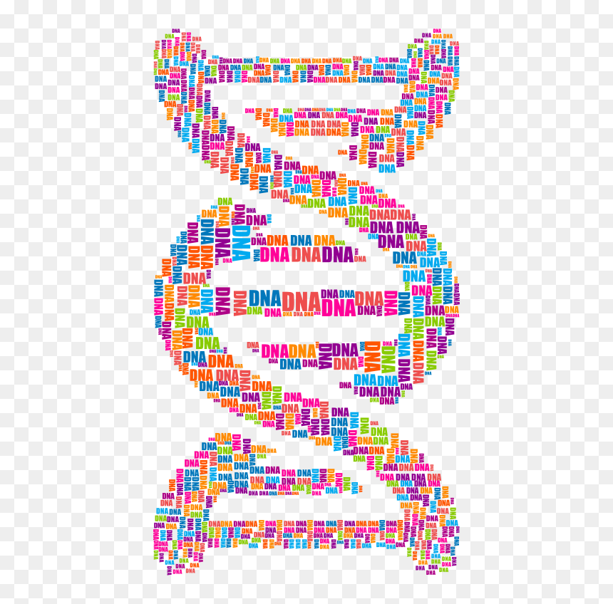 Dna Strand Word Cloud Typography - Dna Strand Dna Png, Transparent Png - dna strand png
