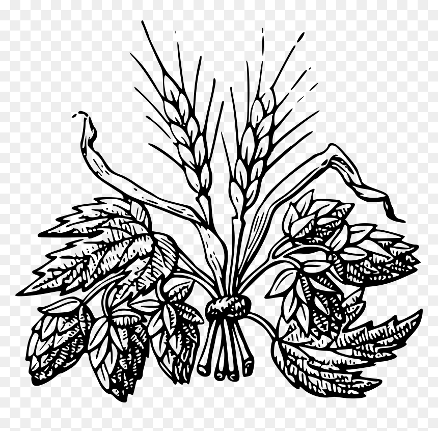 Wheat Field At Getdrawings - Beer Ingredient Clip Art, HD Png Download - hops png