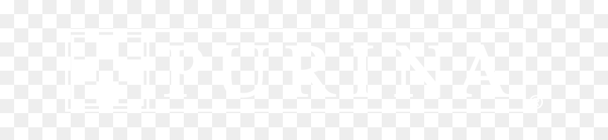 Johns Hopkins Logo White, HD Png Download - mardi gras beads png