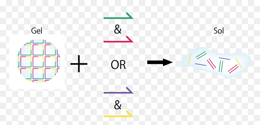 When Adding Only Dna Strand A Or Dna Strand B , - Graphic Design, HD Png Download - dna strand png