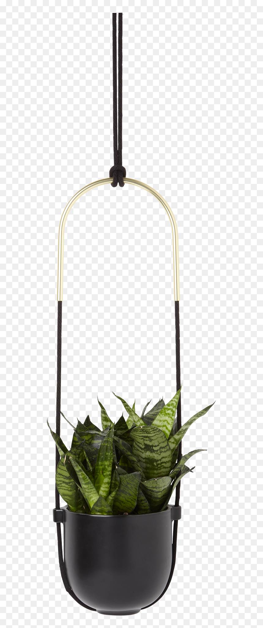 White/black Umbra Triflora Hanging Planter For Window - Hanging Planter Black, HD Png Download - hanging plant png