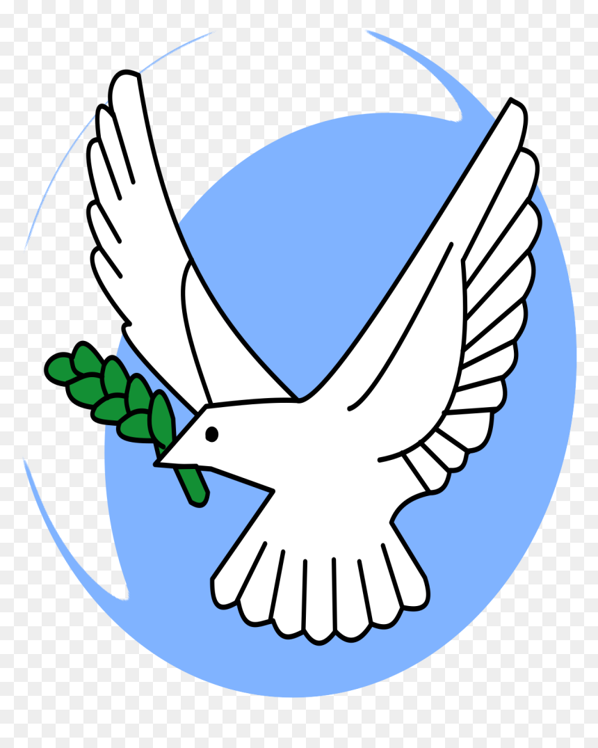 Zeytin Dalı Güvercin Png, Transparent Png - olive branch png