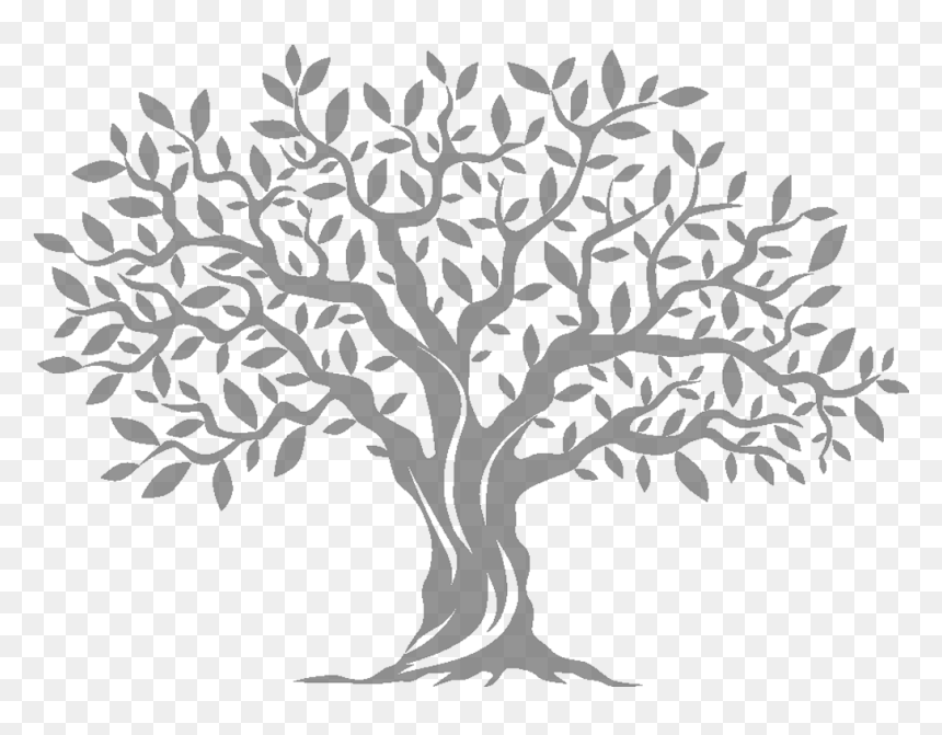 Olive Tree Computer Icons, HD Png Download - olive branch png