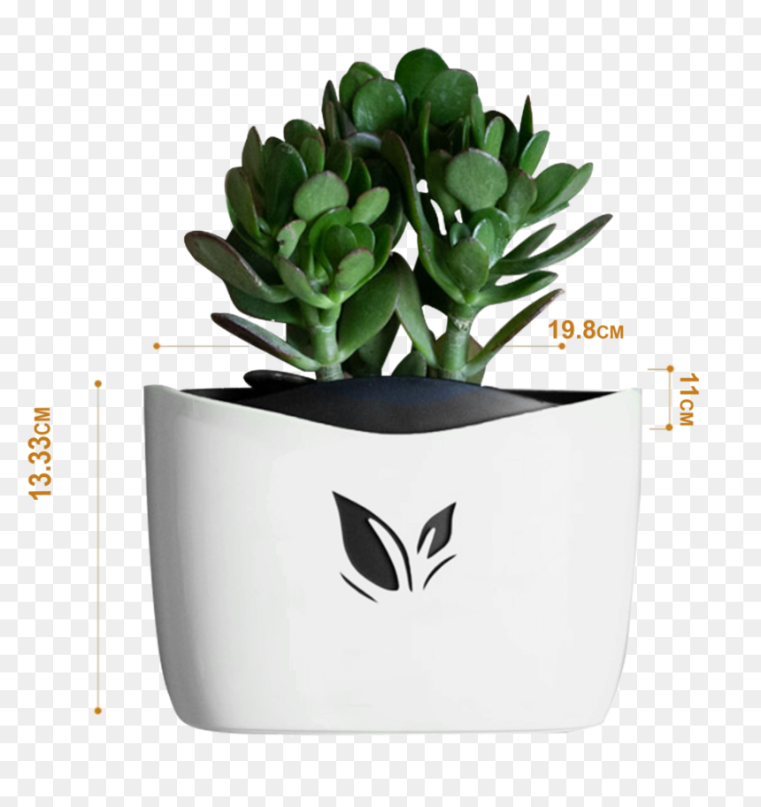 Nail Free Hanging Plant Pots, White - White Flower Pot Png, Transparent Png - hanging plant png