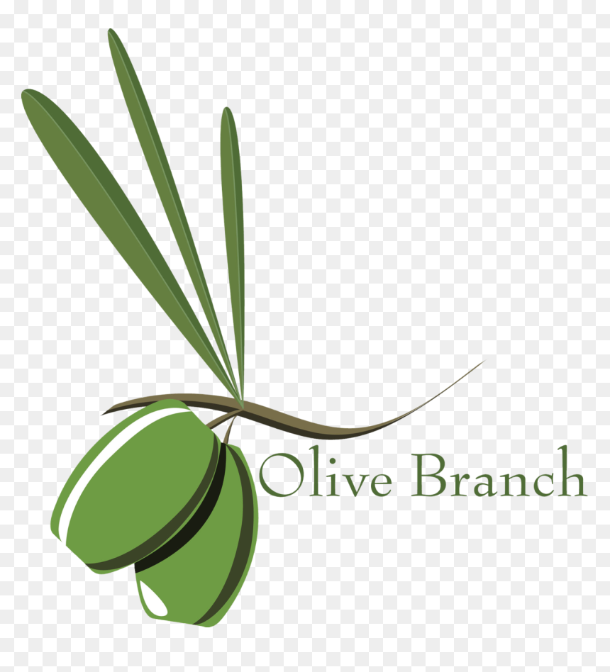 The Branch Environment Olijf Bomen Pinterest - Stock Photography, HD Png Download - olive branch png