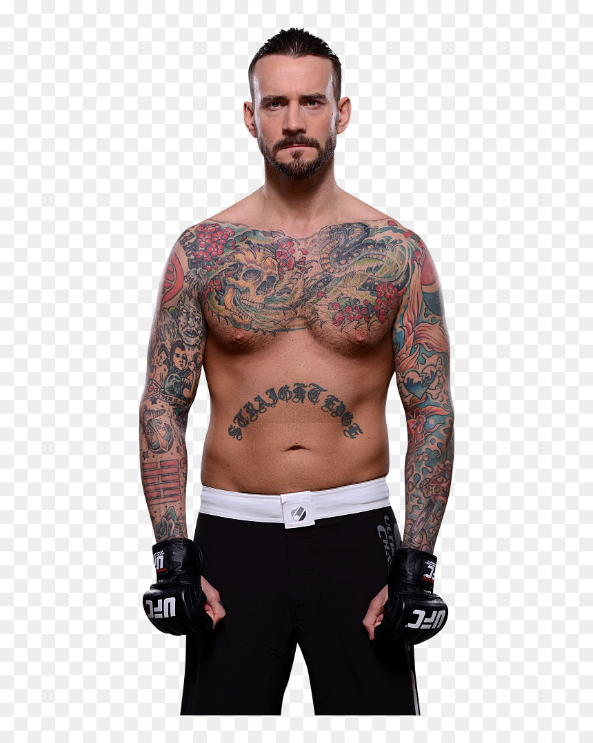 Cm Punk Wwe World Heavyweight Champion, HD Png Download - cm punk png