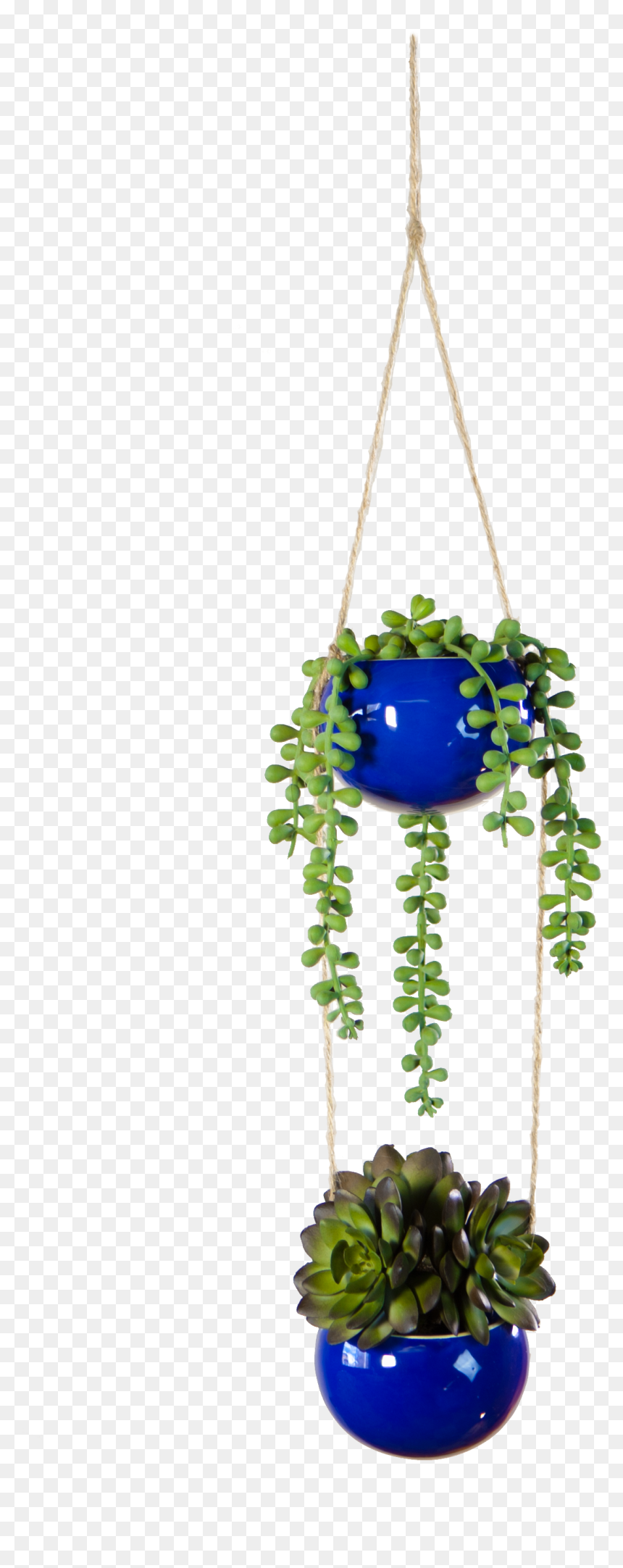 Houseplant, HD Png Download - hanging plant png