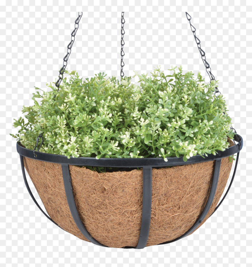 Hanging Basket 30cm Black S - Kókusz Virágcserép, HD Png Download - hanging plant png