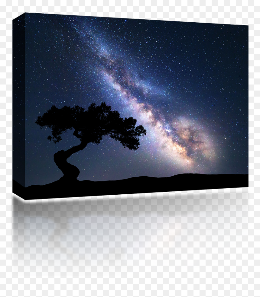Milky Way Tree - Strongest Ones Bleed In Silence, HD Png Download - milky way png