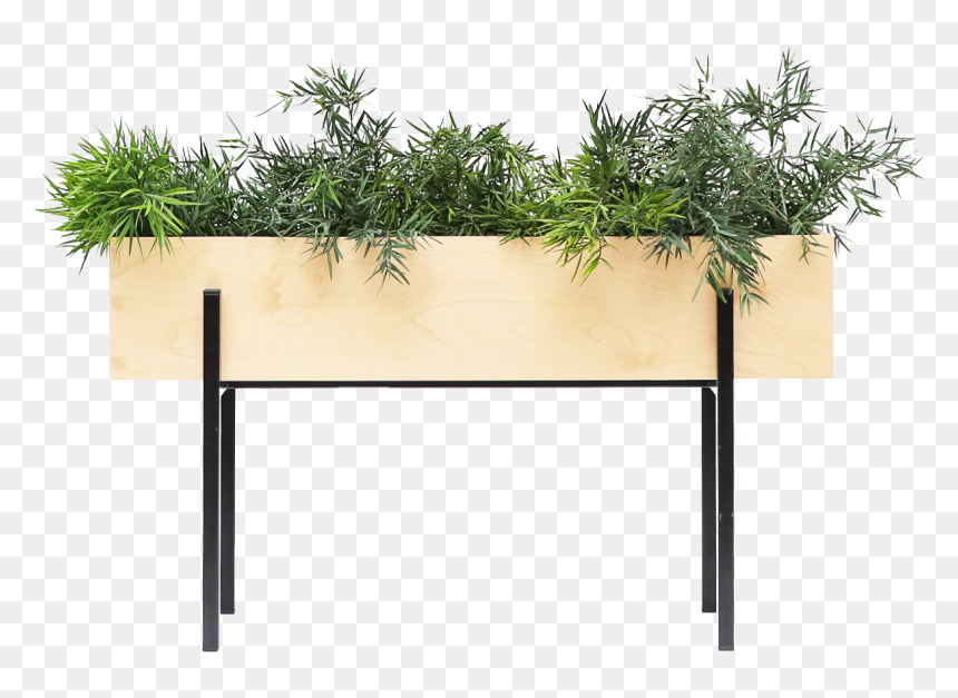 Naturalboxplanter, HD Png Download - hanging plant png