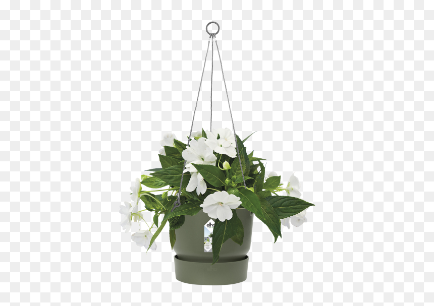 Elho Hangpot, HD Png Download - hanging plant png