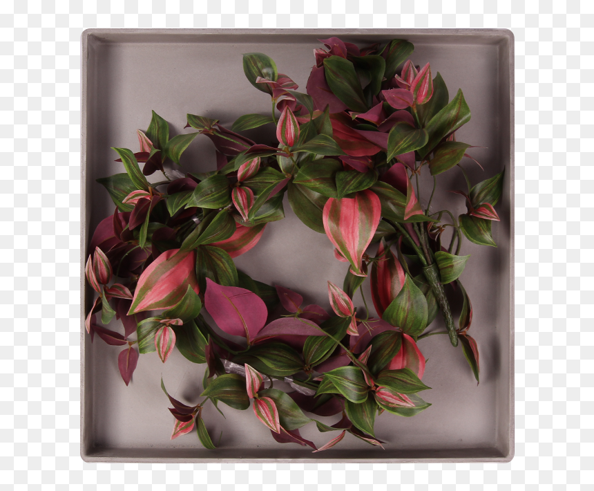 Pl179 - Bud, HD Png Download - hanging plant png