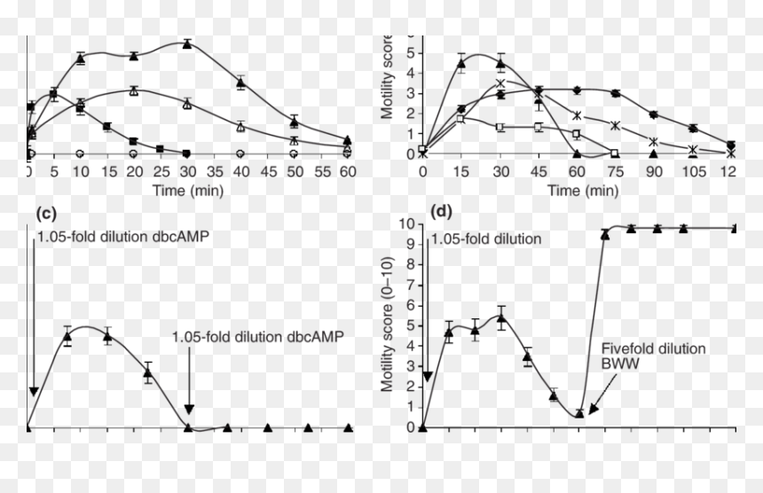 Activation Of Sperm Motility In 1 L Of Semen From The, HD Png Download - semen png