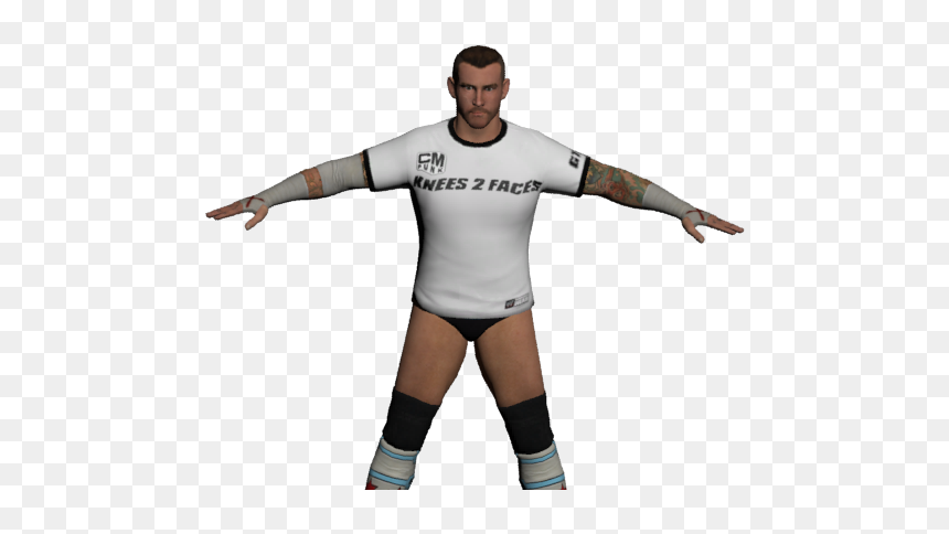 Professional Wrestling, HD Png Download - cm punk png