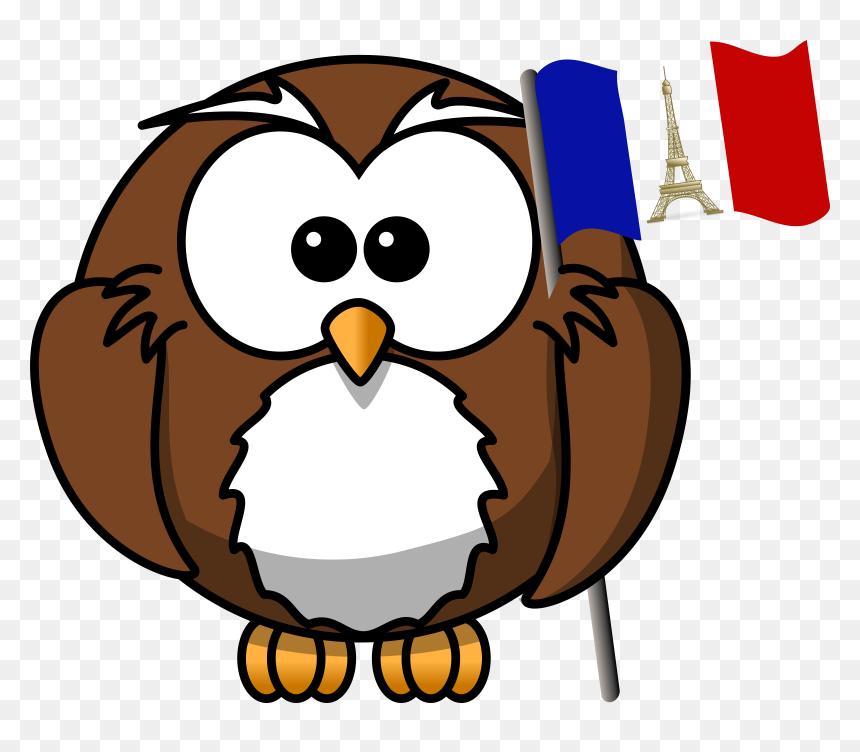 Owl With French Flag Clip Arts - Cartoon Owl, HD Png Download - french flag png