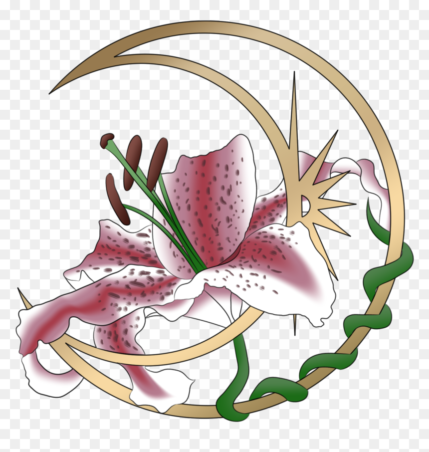 Lily Stargazer Png, Png Download - Lily 'stargazer', Transparent Png - cm punk png