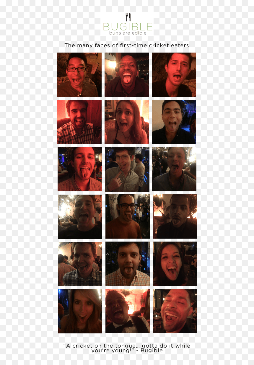 People Eating Bugs - Collage, HD Png Download - people eating png