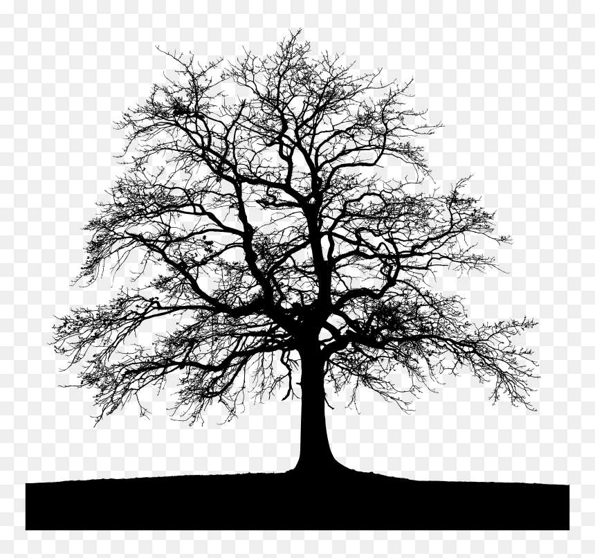 High Detail Tree With Ground Silhouette - Tree With Ground Png, Transparent Png - ground png