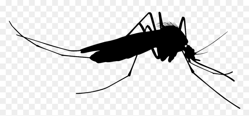 Mosquito Silhouette Clip Art - Mosquito Silhouette Transparent, HD Png Download - mosquito png